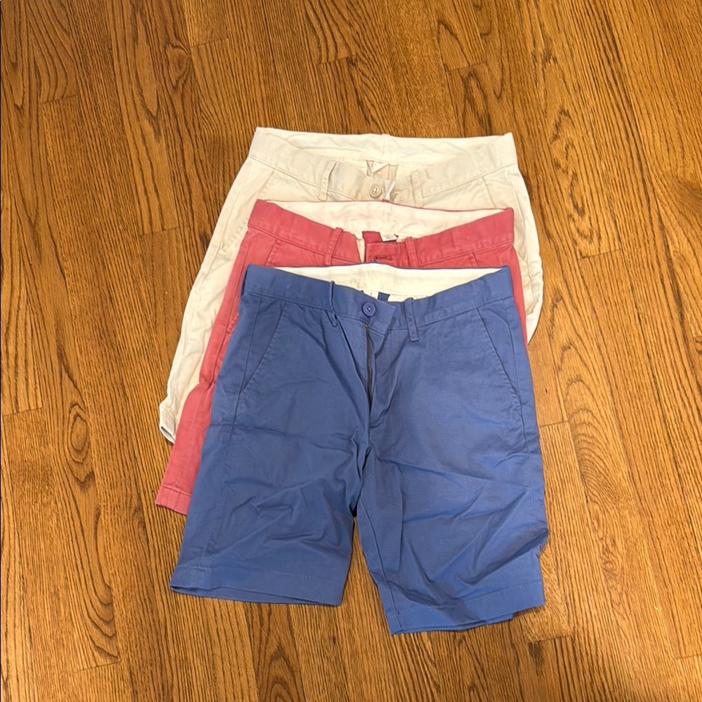 Crewcuts Blue and Pink Flat Front Shorts